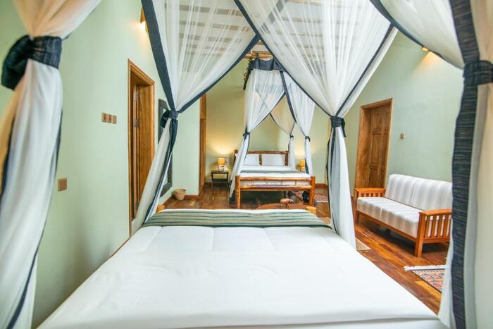 Buffalo Safari Lodge