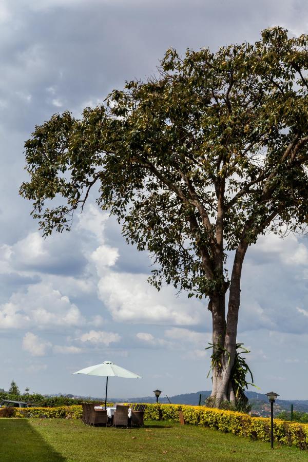 Cassia Lodge