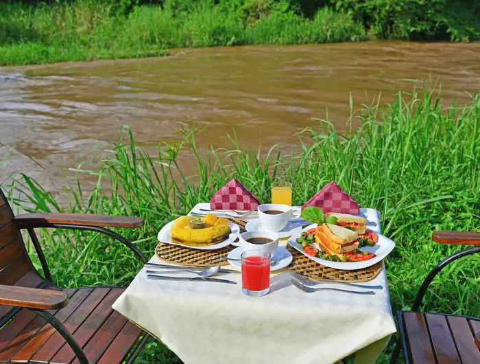 Ishasha Jungle Lodge