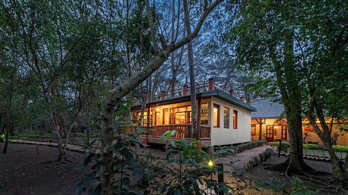 Ishasha Jungle Lodge