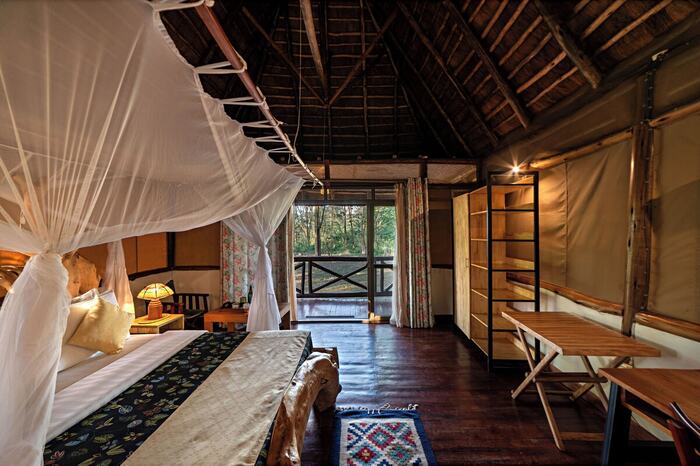 Ishasha Jungle Lodge