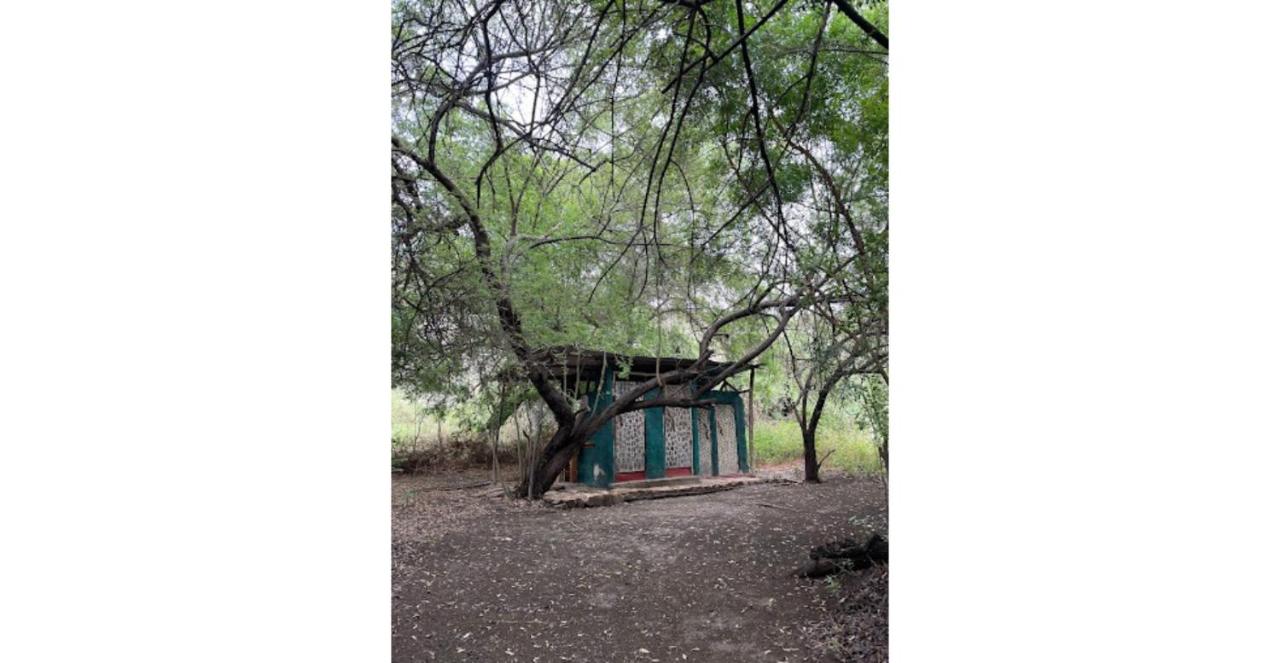 Lake Natron Camp