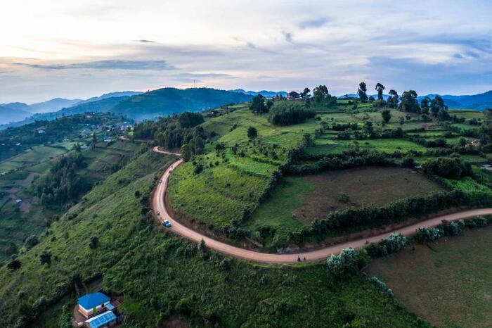 Rushaga Gorilla Lodge