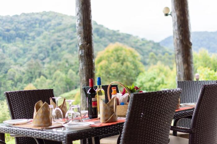 Rushaga Gorilla Lodge