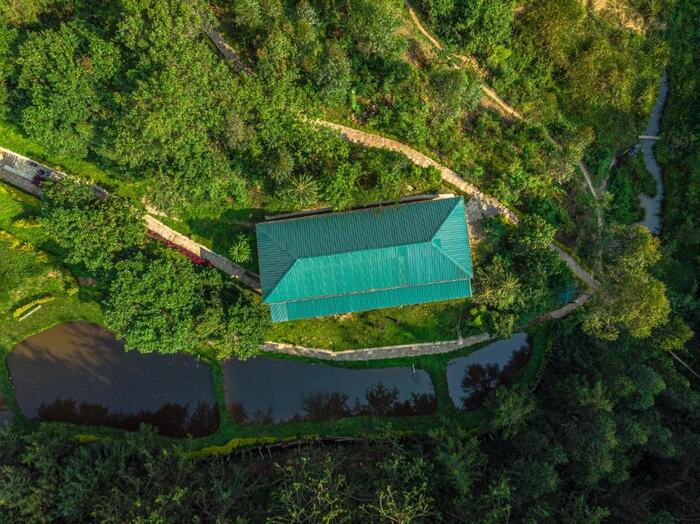 Rushaga Gorilla Lodge