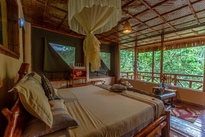 Rushaga Gorilla Lodge