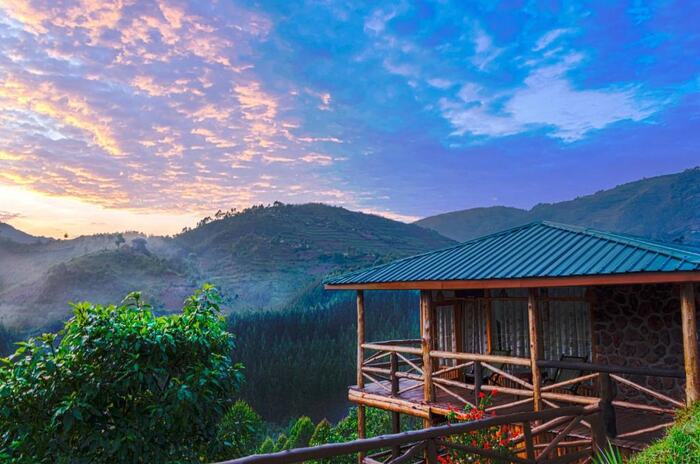 Rushaga Gorilla Lodge