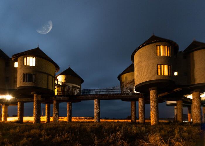 Salt Lick