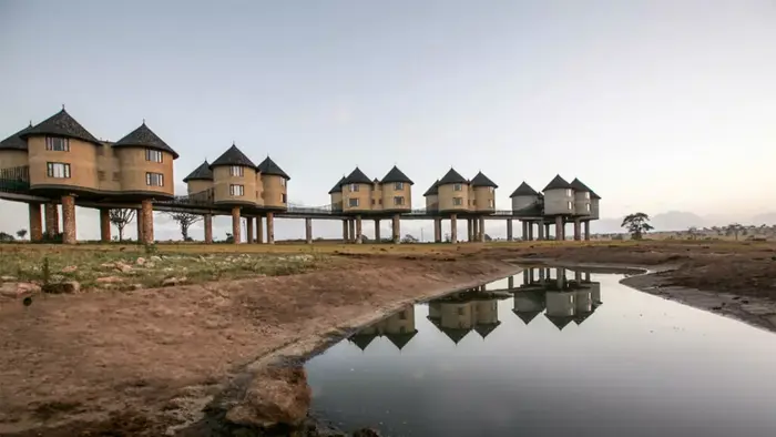 Salt Lick