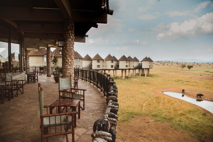 Salt Lick
