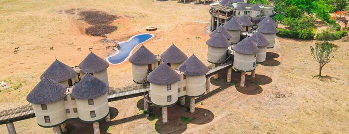 Salt Lick