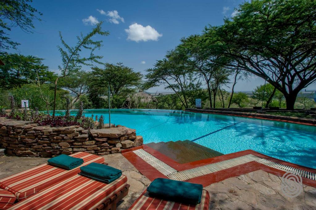 Serengeti Serena