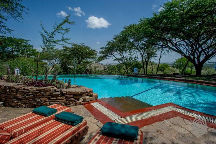 Serengeti Serena