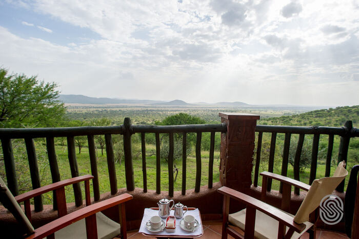 Serengeti Serena