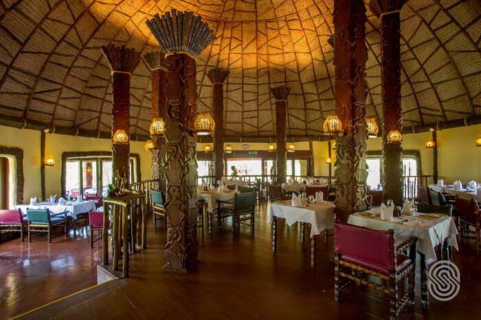 Serengeti Serena