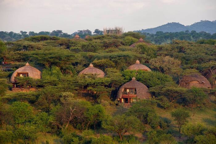 Serengeti Serena