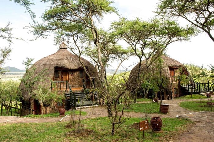 Serengeti Serena