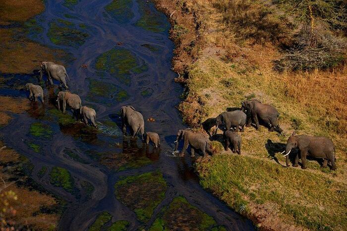 Tarangire Safari Lodge