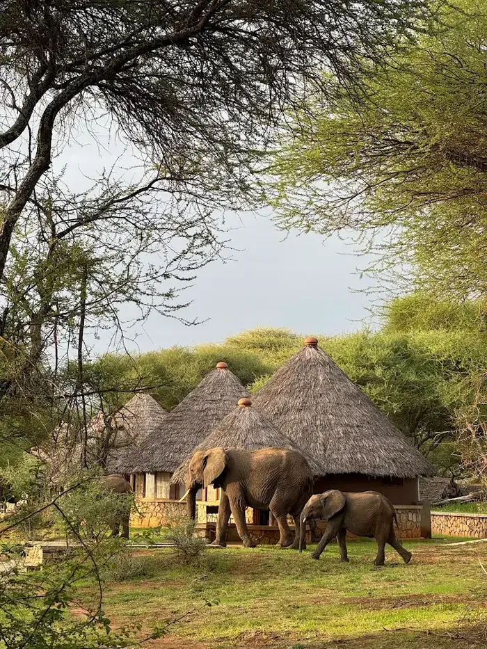 Tarangire Safari Lodge