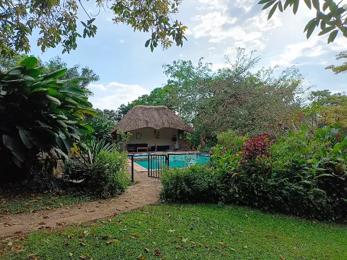 Turaco Treetops Lodge