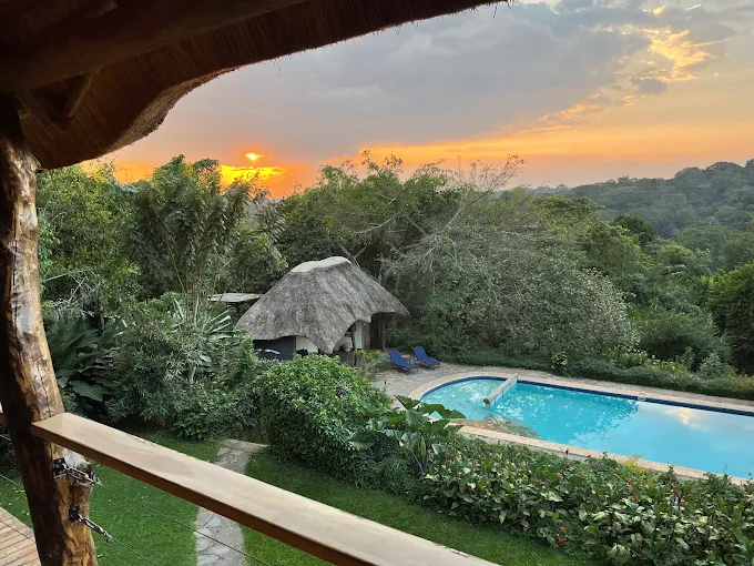 Turaco Treetops Lodge