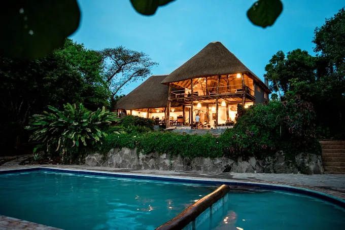 Turaco Treetops Lodge