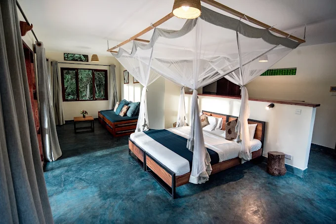 Turaco Treetops Lodge