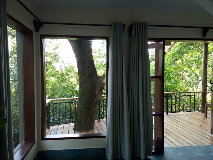 Turaco Treetops Lodge