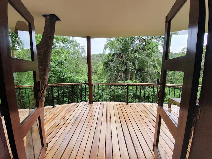 Turaco Treetops Lodge