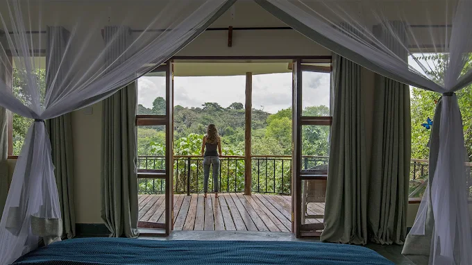 Turaco Treetops Lodge
