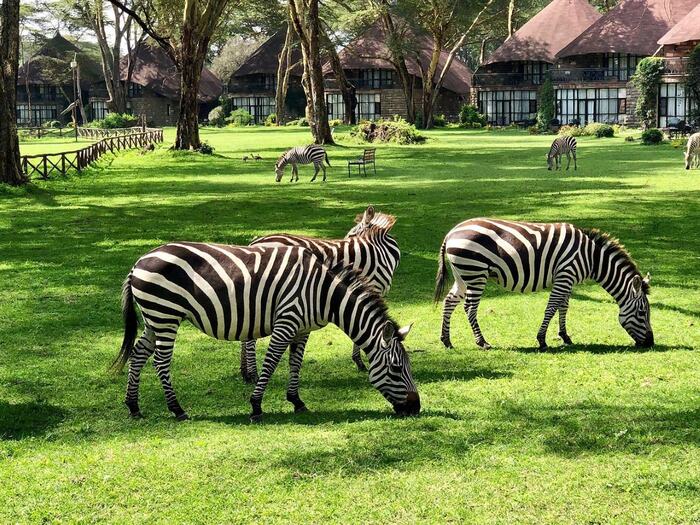 Lake Naivasha Sopa Lodge