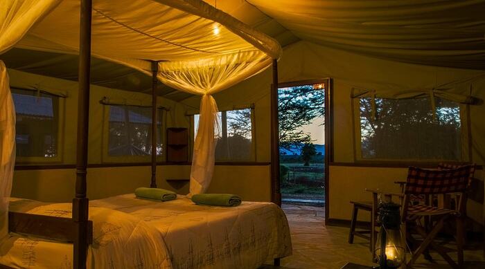 Sentrim Tsavo