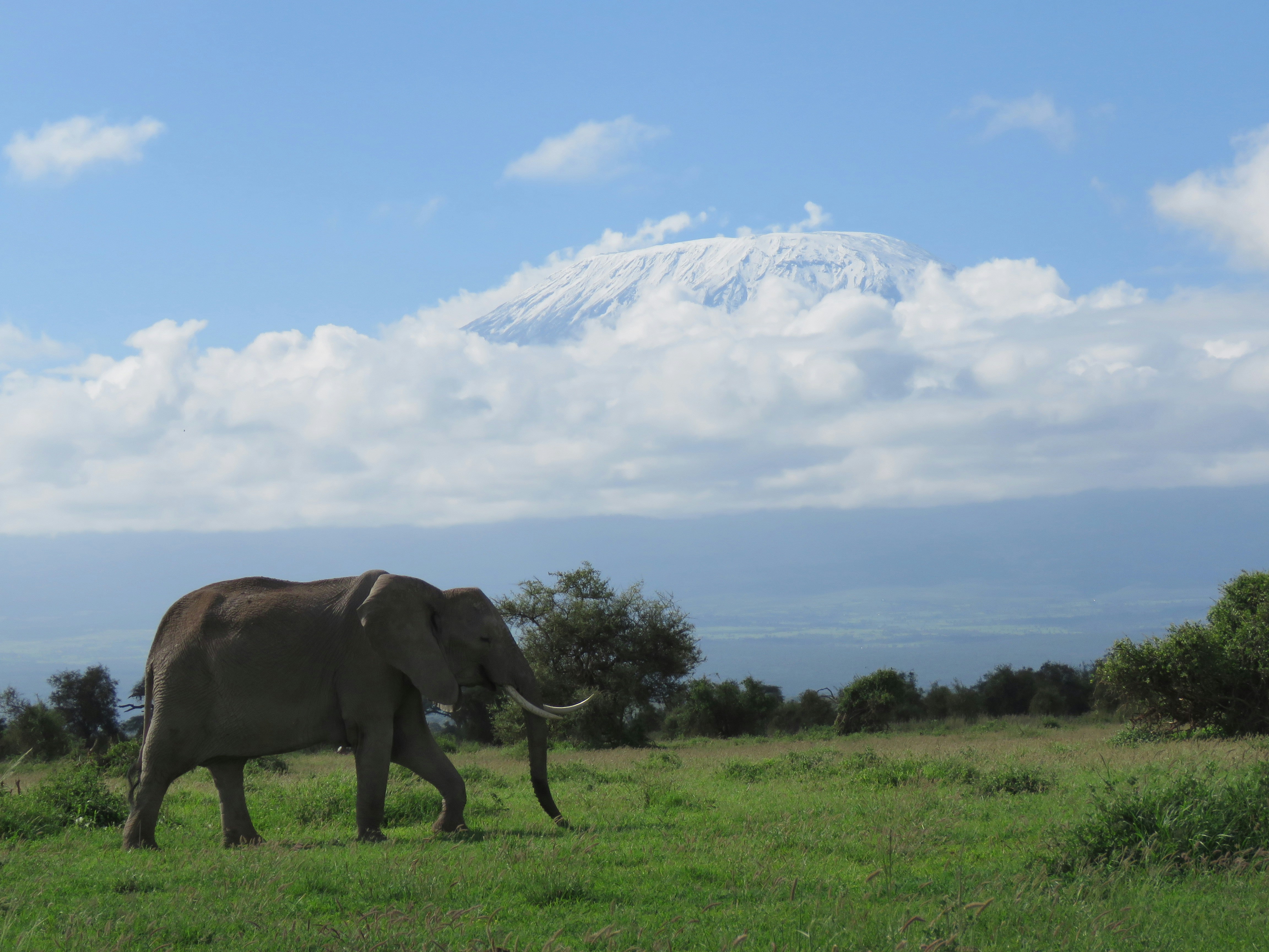 6-Day Amboseli, Tsavo East and Diani Beach Safari