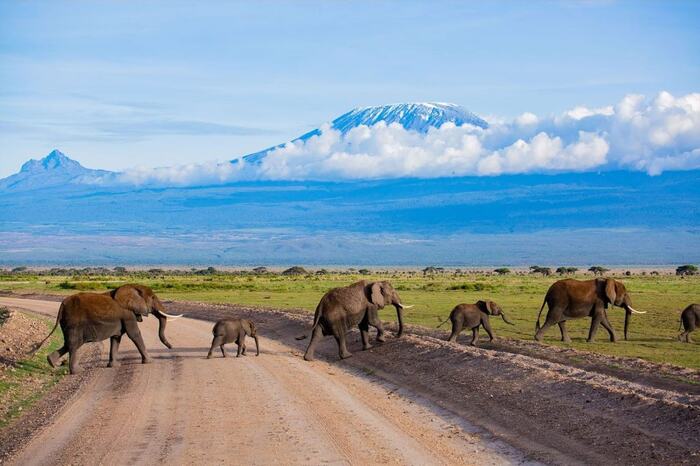 4-Day Amboseli and Tsavo West Safari