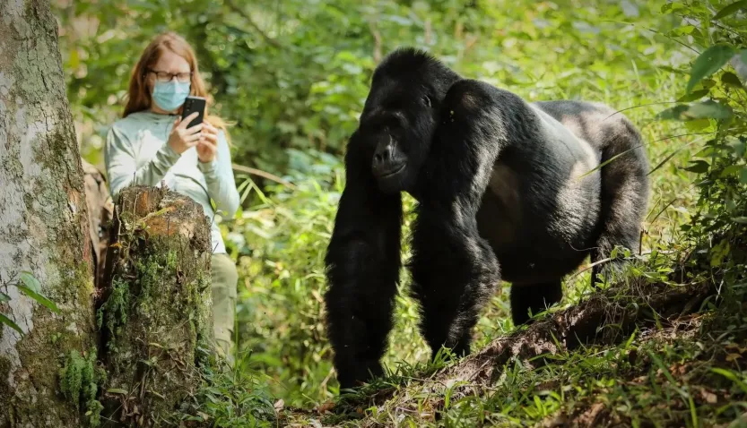Bwindi Impenetrable National Park