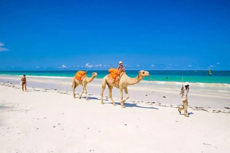 Diani Beach