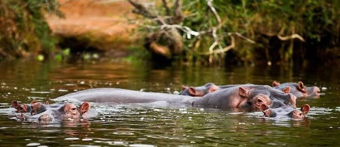Lake Mburo