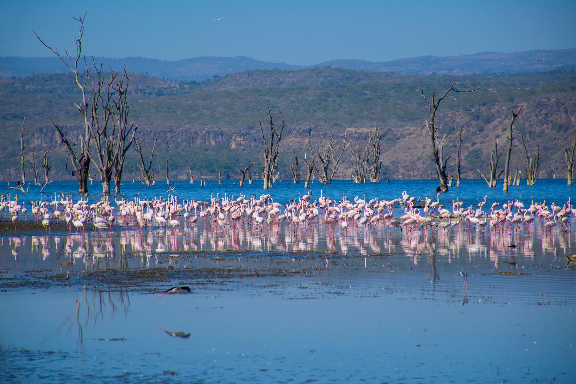 Lake Nakuru