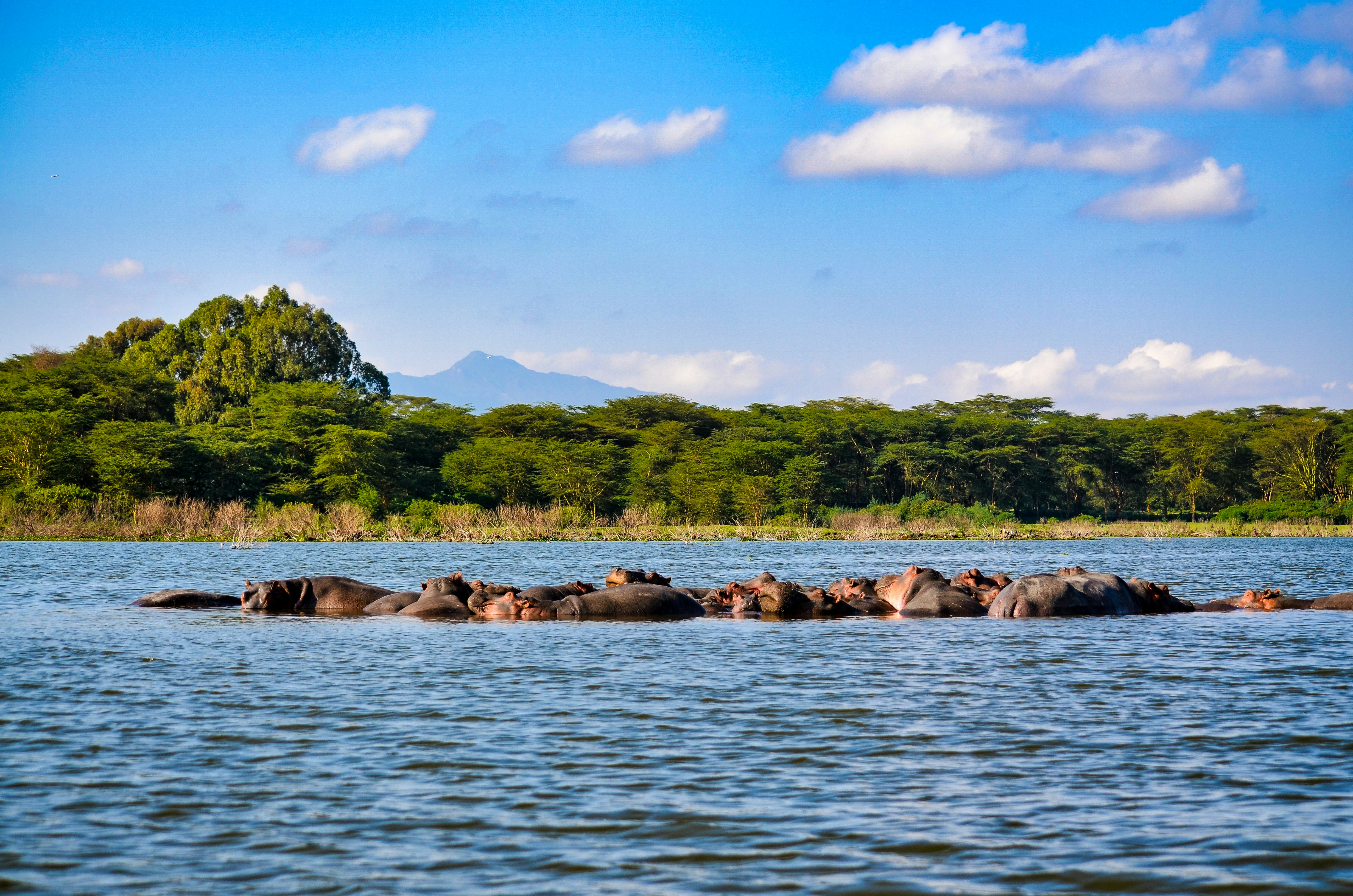 Lake Nakuru