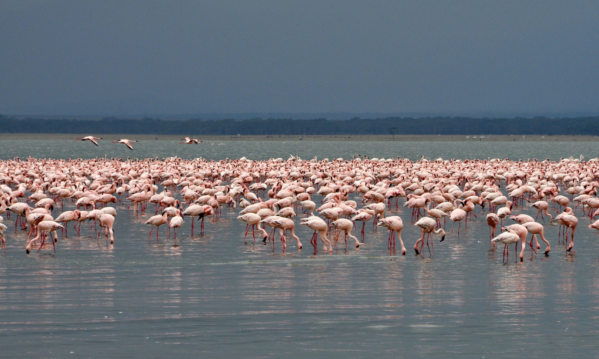 9-Day Signature East Africa Safari