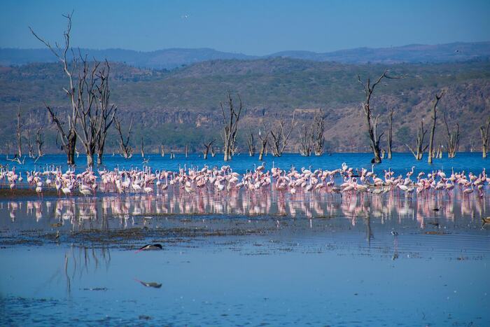 Lake Nakuru