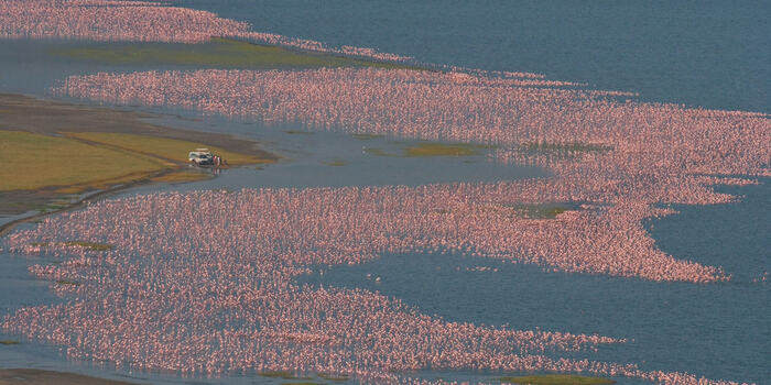 Lake Nakuru