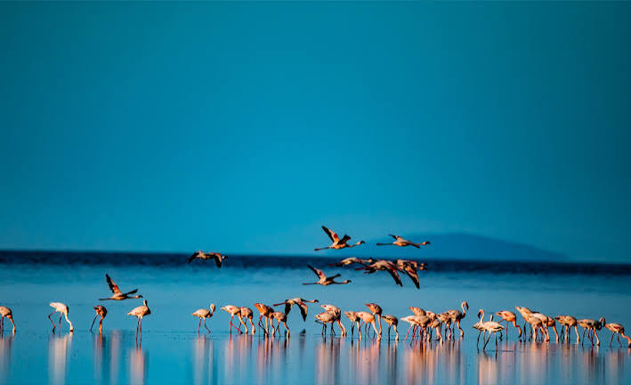 Lake Natron