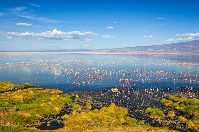 Lake Natron