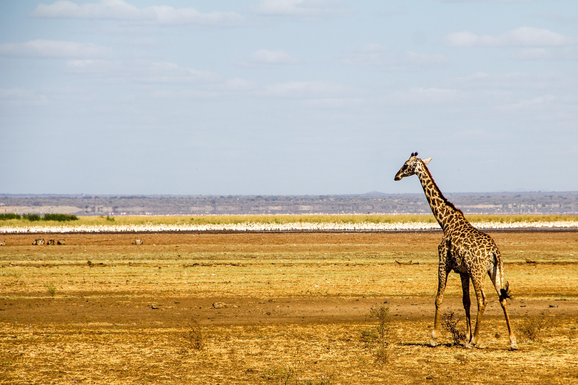 6-Day Majestic Tanzania Luxury Safari