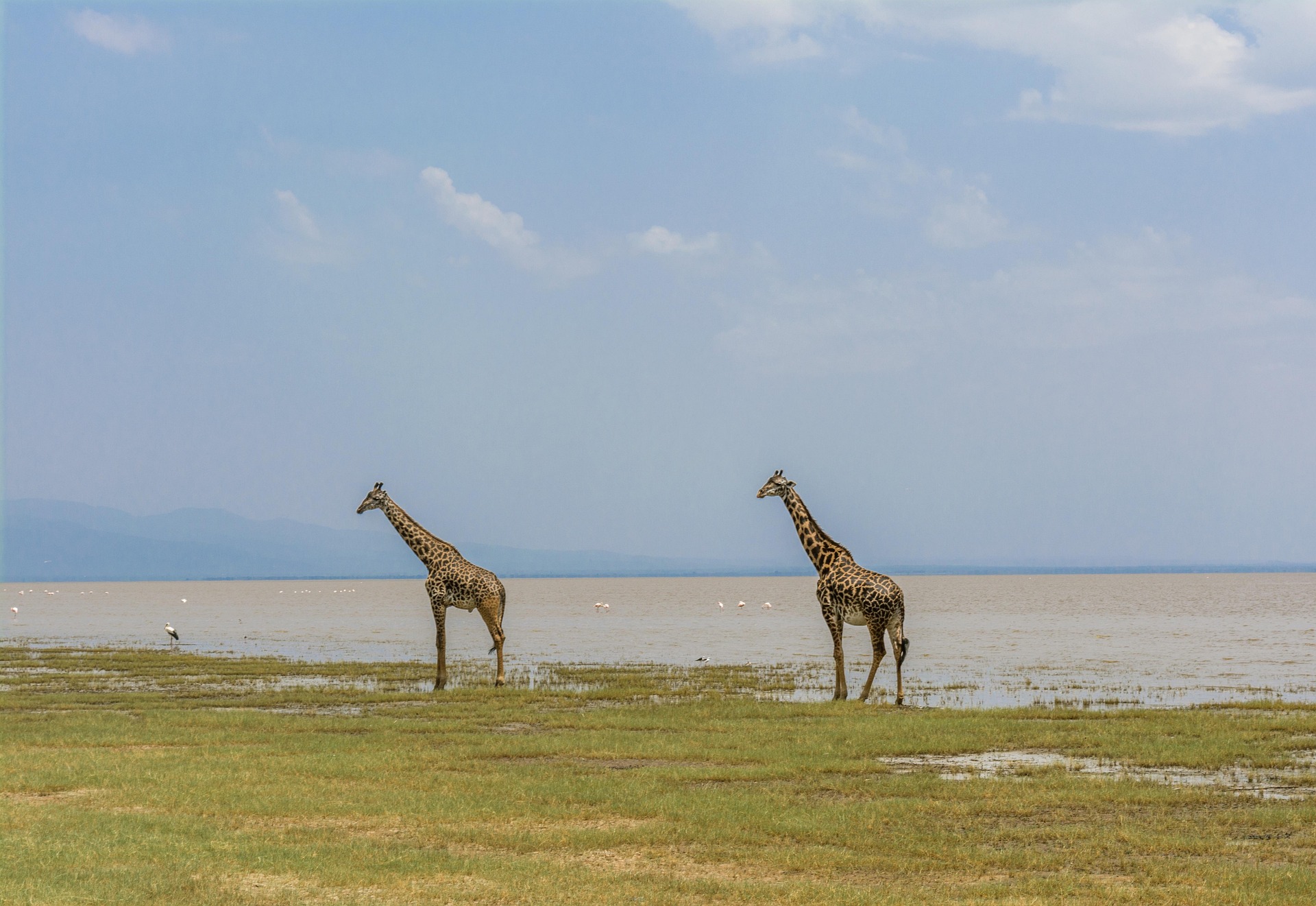 8-Day Northern Tanzania: Serengeti and Ngorongoro
