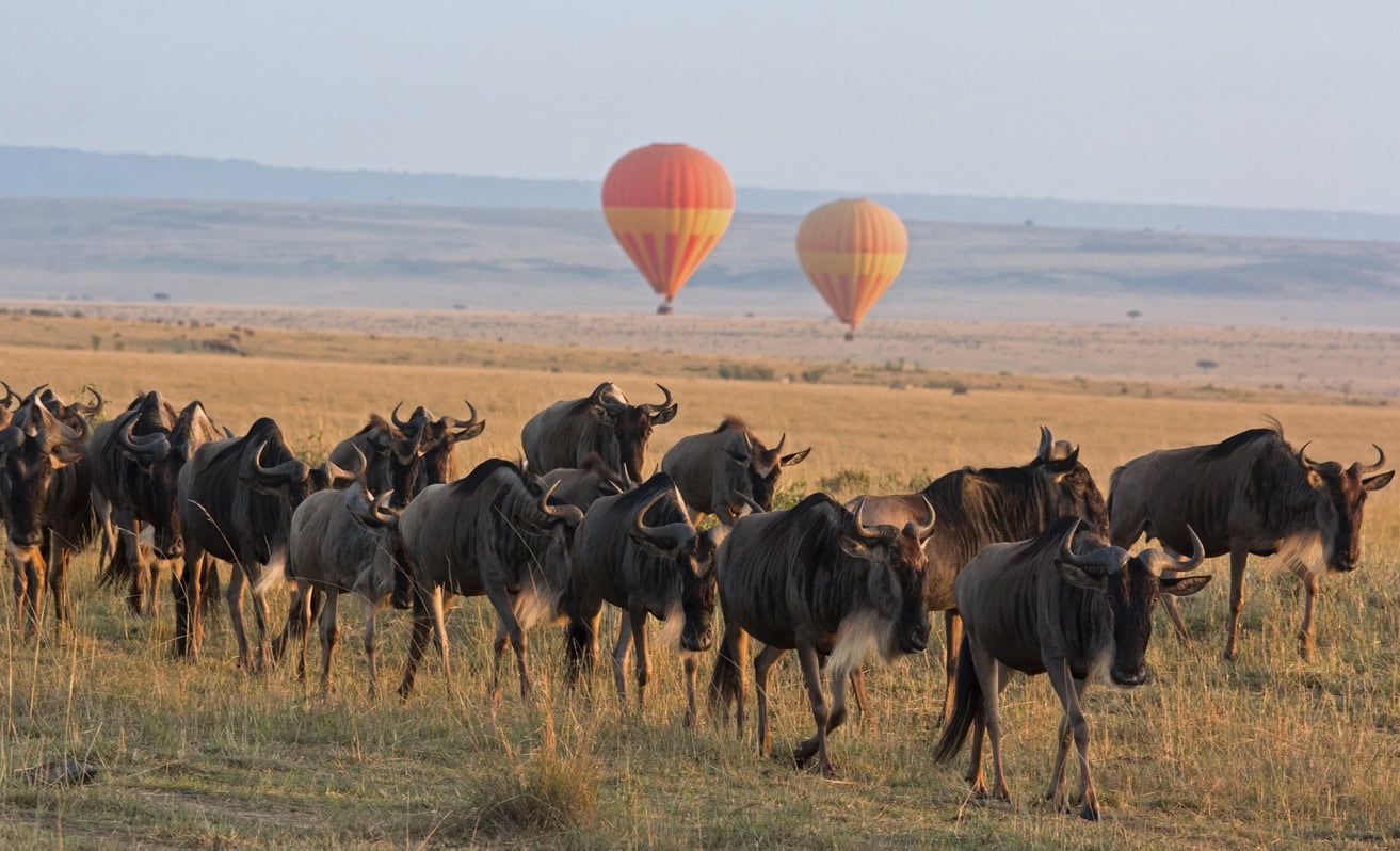 8-Day Wonders of Kenya and Tanzania Luxury Safari