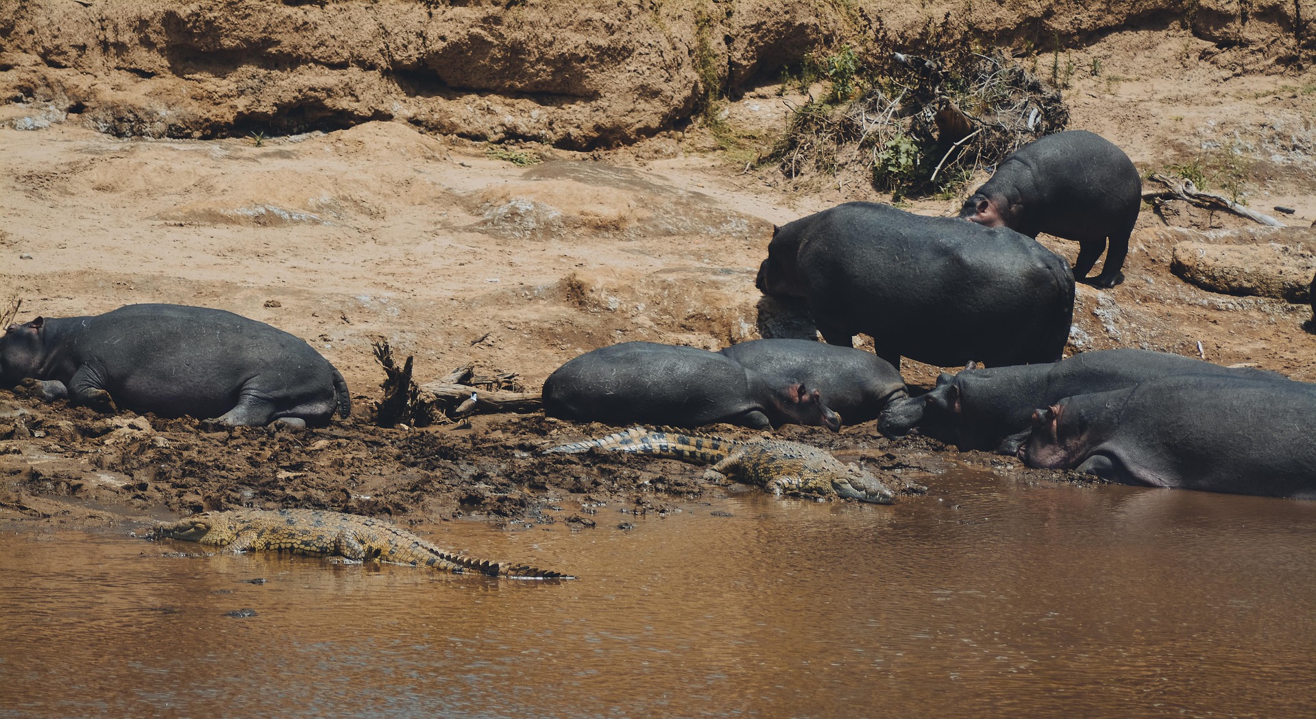 5-Day Maasai Mara, Lake Nakuru and Lake Naivasha