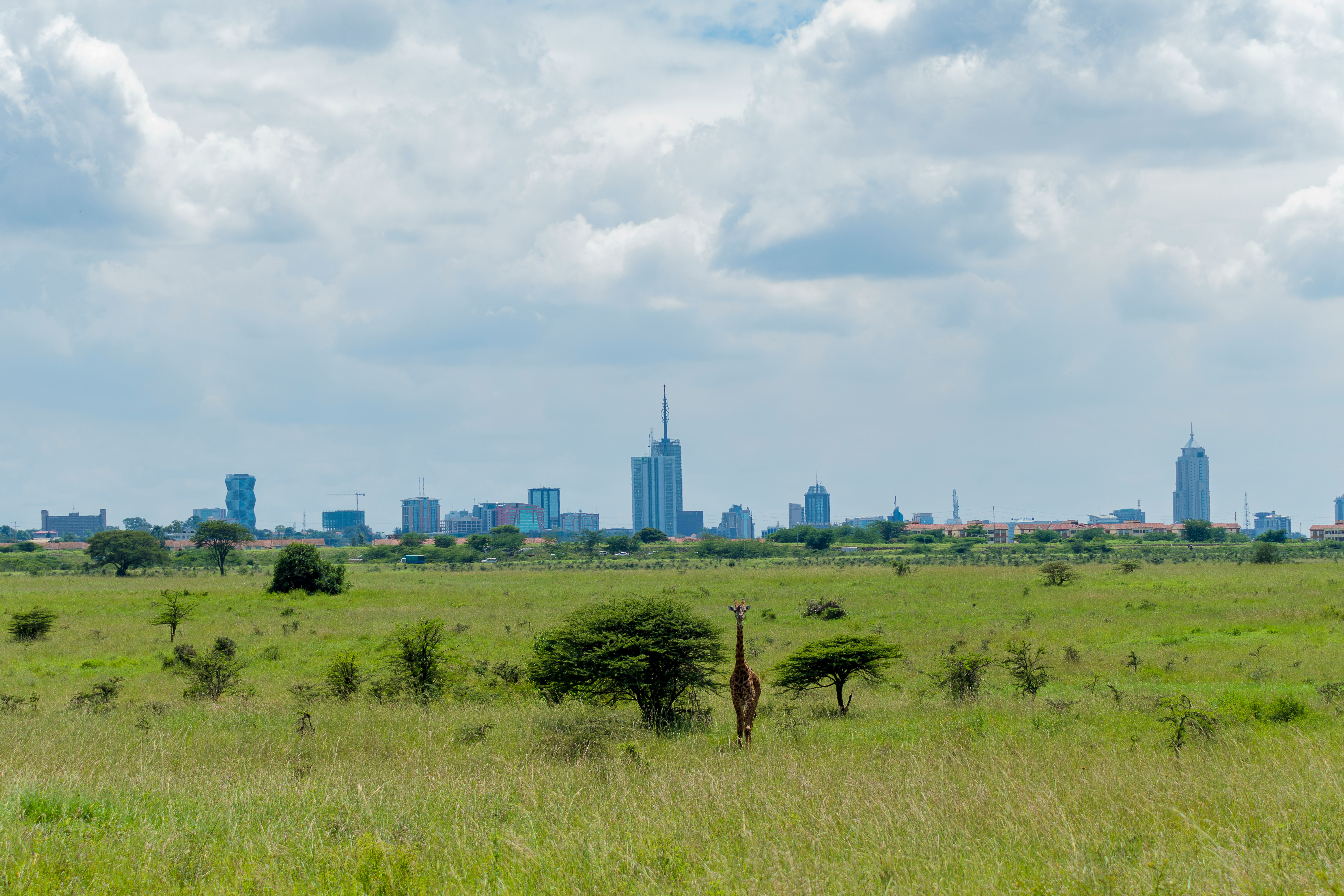 14-Day Kenya and Uganda Wildlife and Gorilla Safari