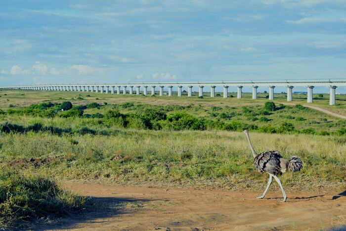 Nairobi National Park